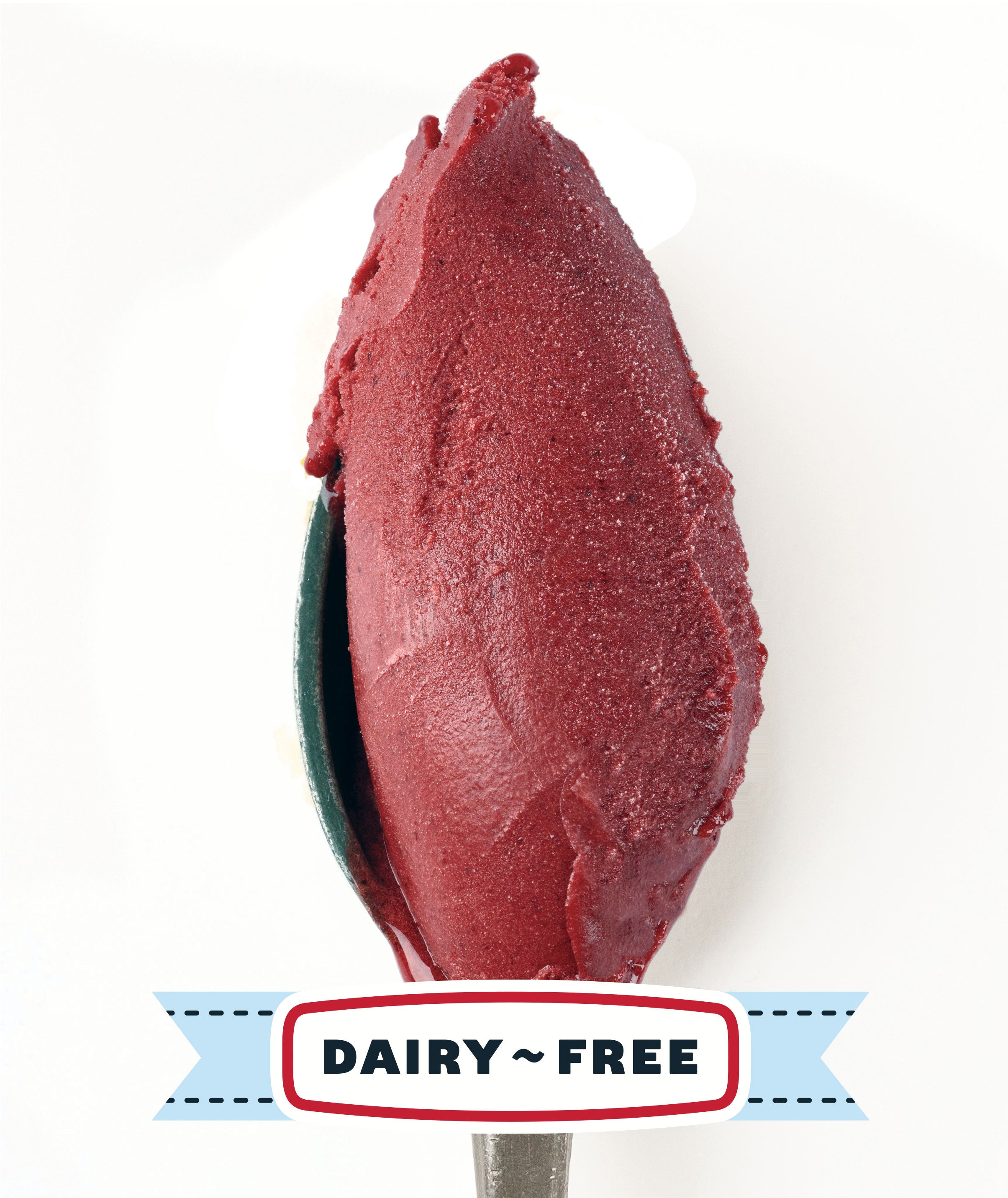 Blackberry Lime Sorbet