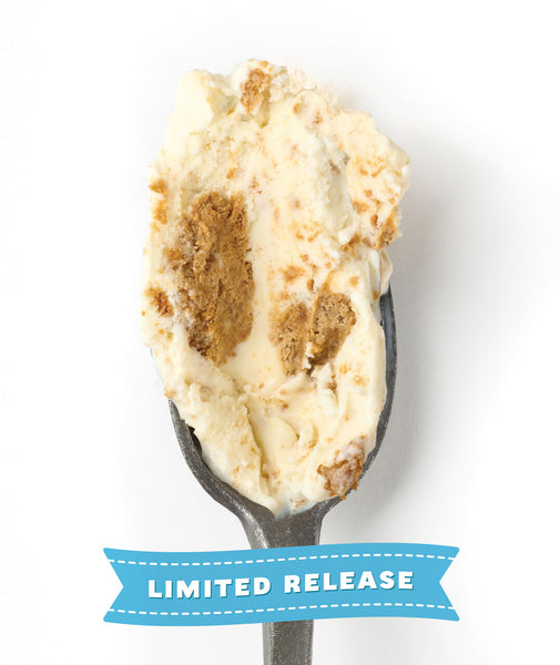 Gingerbread Cheesecake